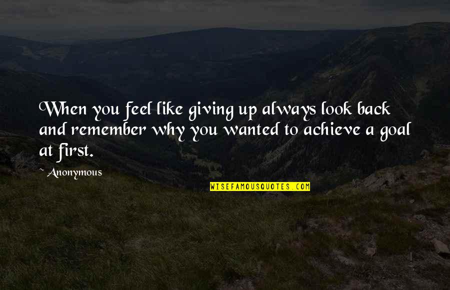 Quotes To Remember Quotes By Anonymous: When you feel like giving up always look