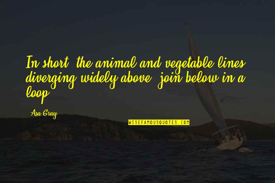 Quotes Tolkien Hobbit Quotes By Asa Gray: In short, the animal and vegetable lines, diverging