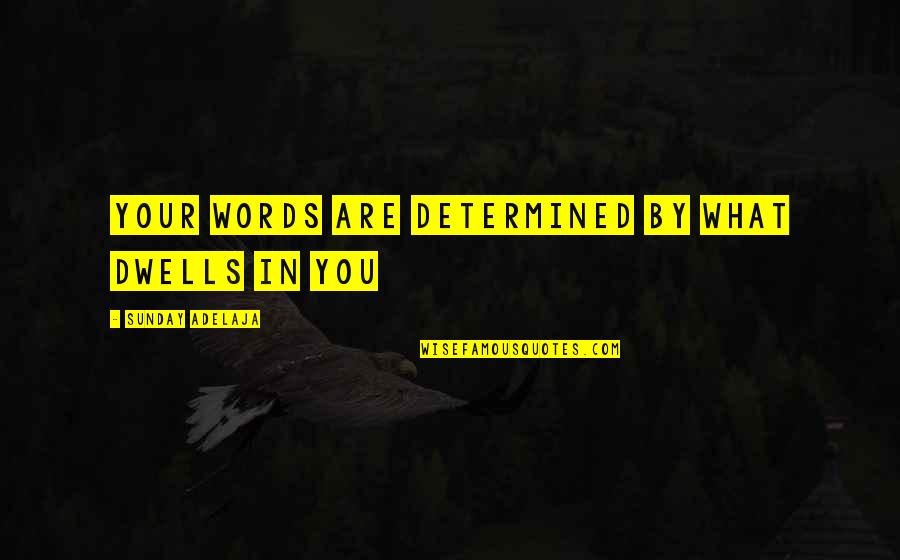 Quotes Topeng Kaca Quotes By Sunday Adelaja: Your words are determined by what dwells in