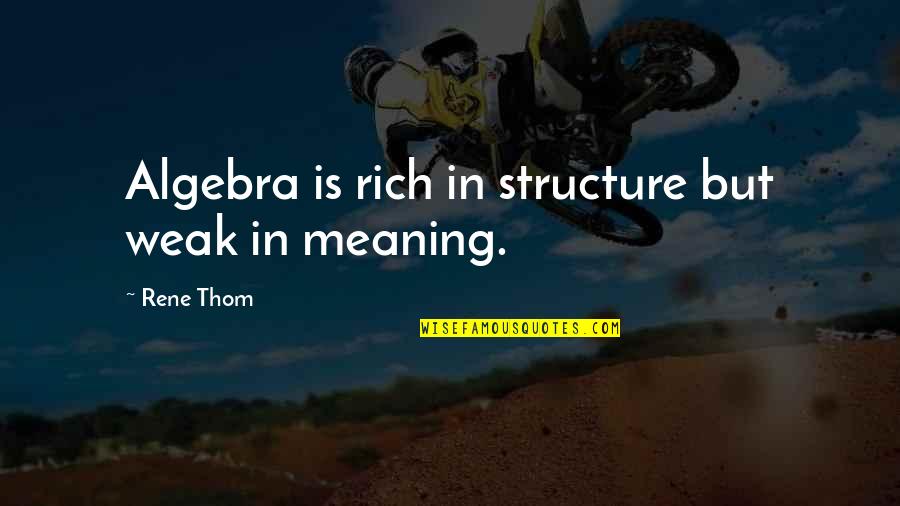 Quotes Vigilance Awareness Quotes By Rene Thom: Algebra is rich in structure but weak in