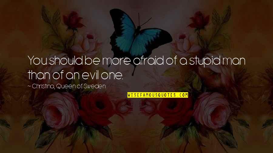 Quotes Walker Texas Ranger Quotes By Christina, Queen Of Sweden: You should be more afraid of a stupid