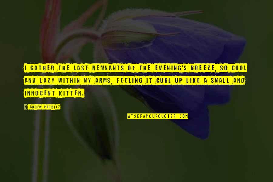 Quotes Within Quotes By Carew Papritz: I gather the last remnants of the evening's Quotes Within Quotes By Carew Papritz: I gather the last remnants of the evening's