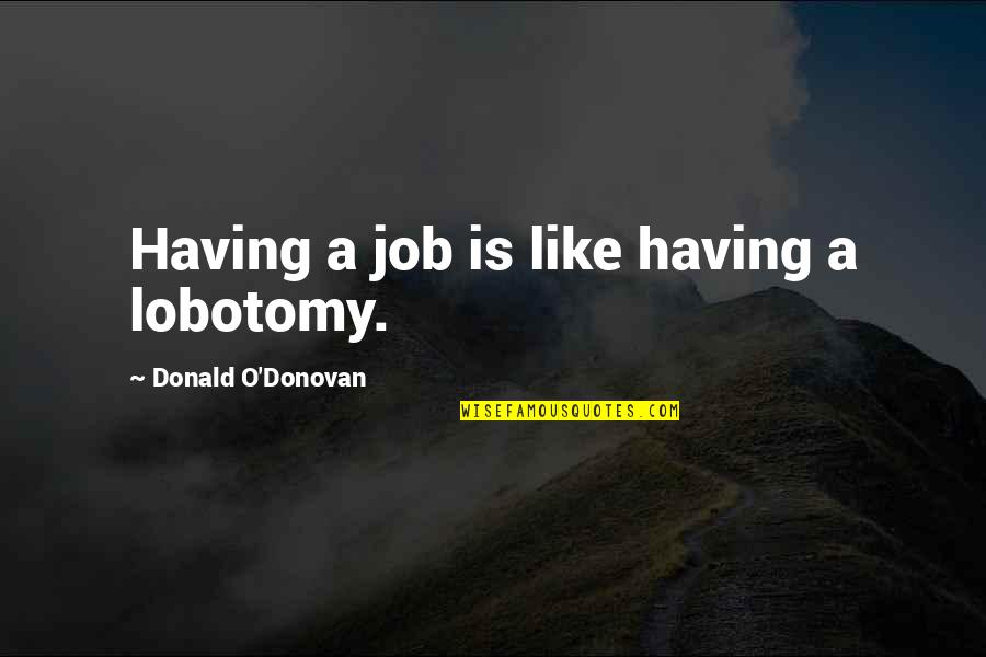 Quotes Yummy Cakes Quotes By Donald O'Donovan: Having a job is like having a lobotomy.