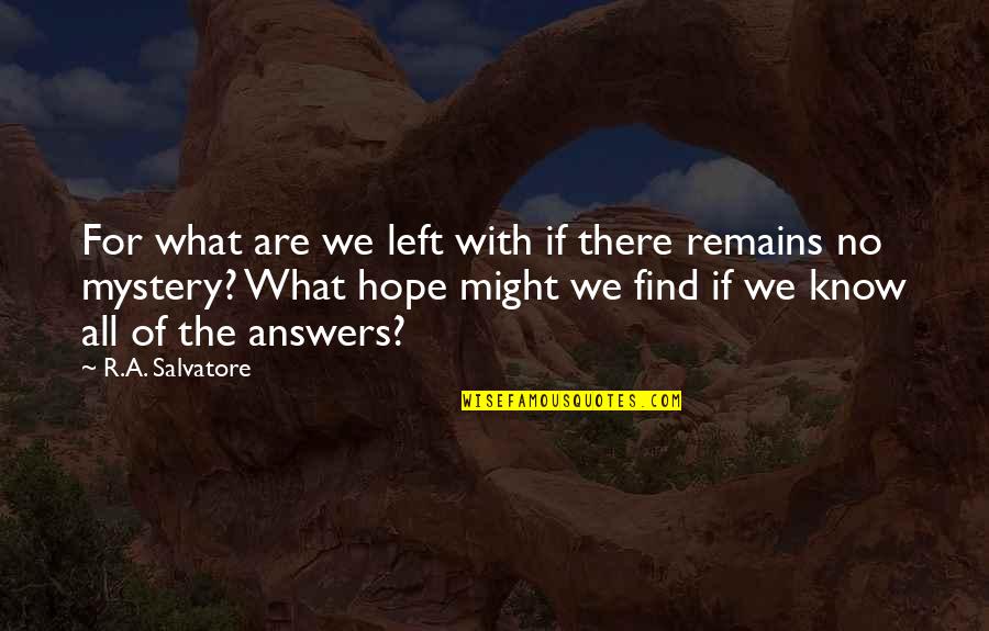 R A Salvatore Quotes By R.A. Salvatore: For what are we left with if there