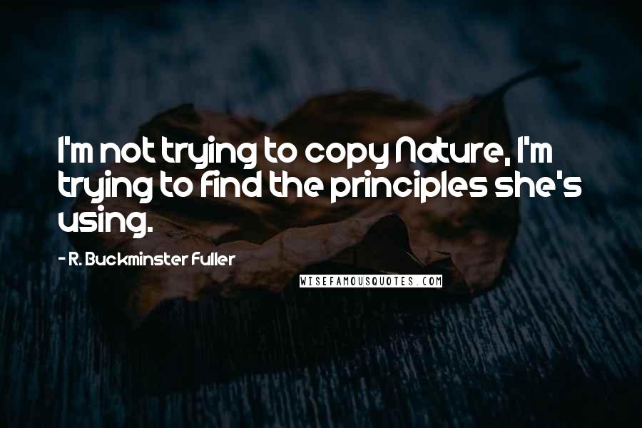 R. Buckminster Fuller quotes: I'm not trying to copy Nature, I'm trying to find the principles she's using.