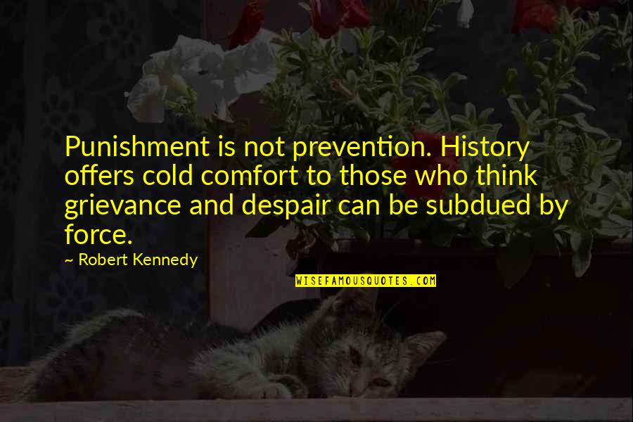 R F Kennedy Quotes By Robert Kennedy: Punishment is not prevention. History offers cold comfort