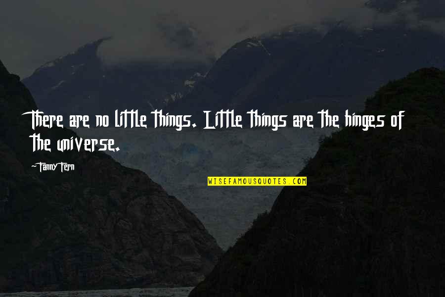 R Garden Vitamin O Quotes By Fanny Fern: There are no little things. Little things are