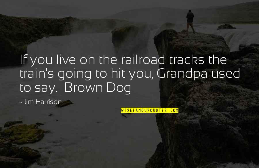 R I P Grandpa Quotes By Jim Harrison: If you live on the railroad tracks the