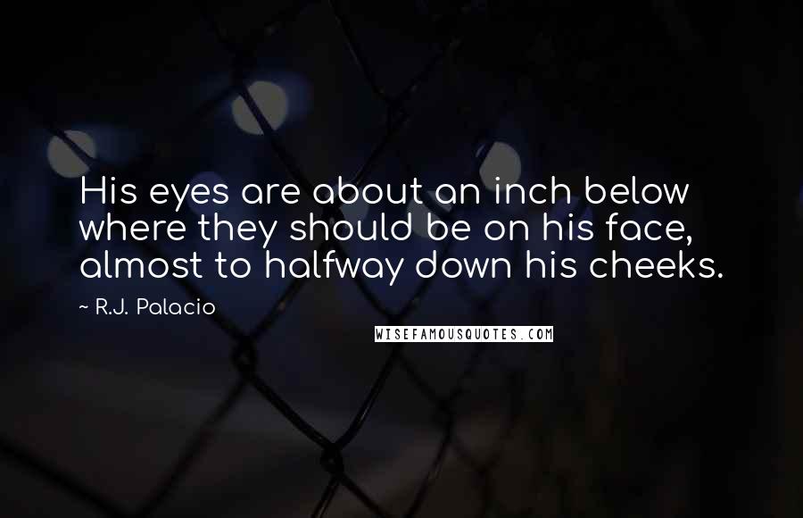 R.J. Palacio quotes: His eyes are about an inch below where they should be on his face, almost to halfway down his cheeks.