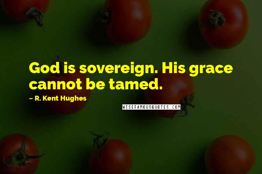 R. Kent Hughes quotes: God is sovereign. His grace cannot be tamed.