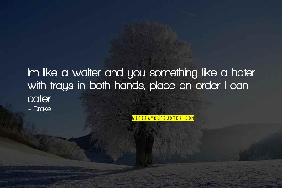R M Drake Quotes By Drake: I'm like a waiter and you something like R M Drake Quotes By Drake: I'm like a waiter and you something like