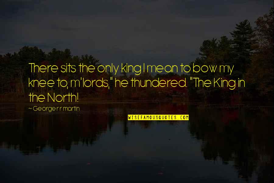 R.m Quotes By George R R Martin: There sits the only king I mean to