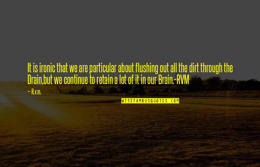 R.m Quotes By R.v.m.: It is ironic that we are particular about