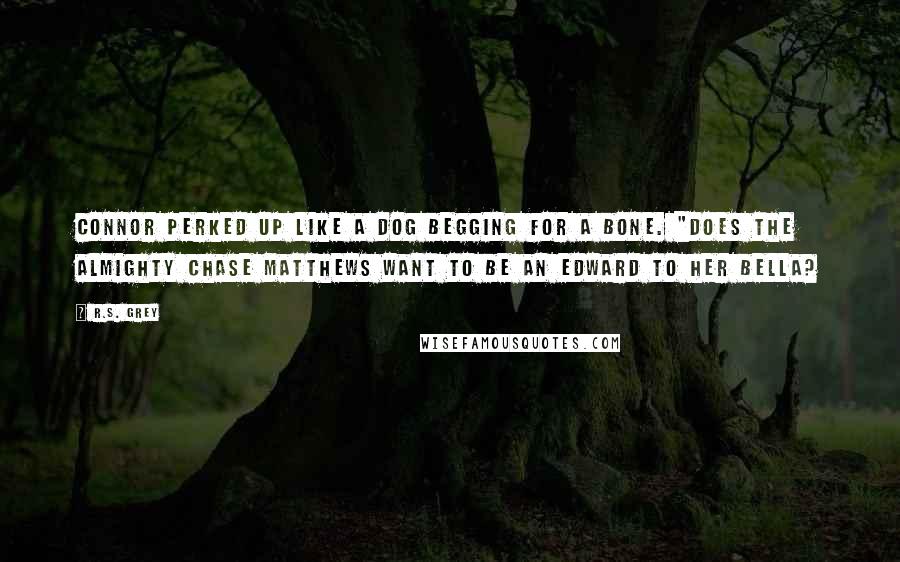 R.S. Grey quotes: Connor perked up like a dog begging for a bone. "Does the almighty Chase Matthews want to be an Edward to her Bella?