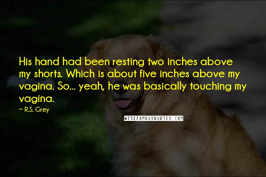 R.S. Grey quotes: His hand had been resting two inches above my shorts. Which is about five inches above my vagina. So... yeah, he was basically touching my vagina.