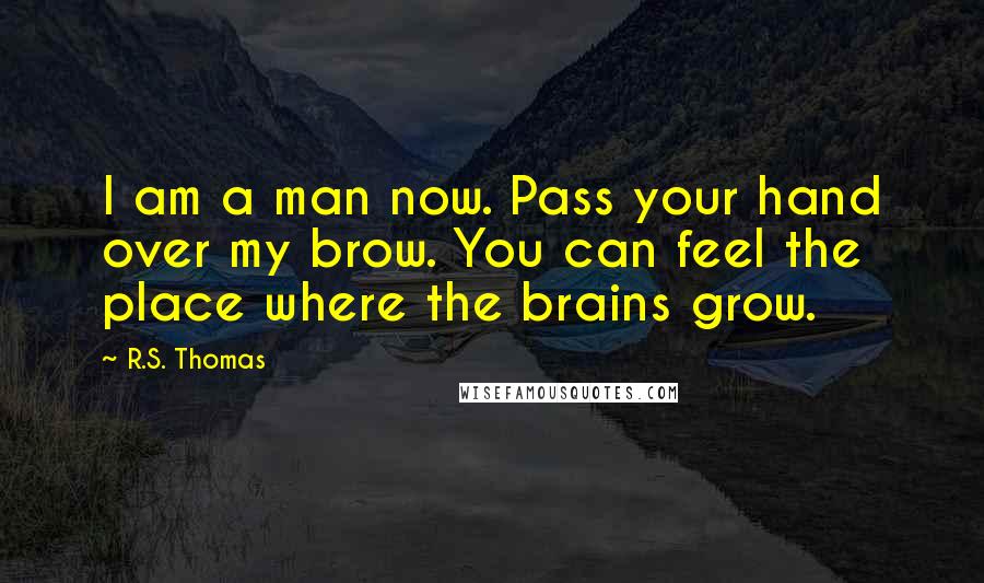 R.S. Thomas quotes: I am a man now. Pass your hand over my brow. You can feel the place where the brains grow.