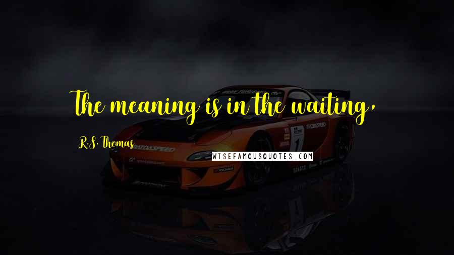 R.S. Thomas quotes: The meaning is in the waiting,