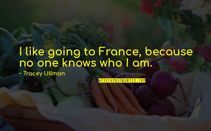 Rabana Quotes By Tracey Ullman: I like going to France, because no one Rabana Quotes By Tracey Ullman: I like going to France, because no one