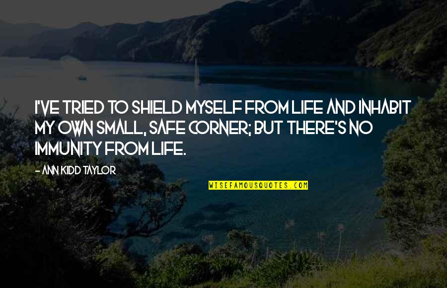 Rabbi Yehuda Halevi Quotes By Ann Kidd Taylor: I've tried to shield myself from life and
