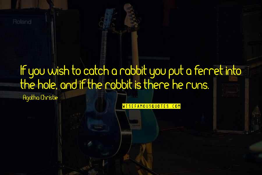 Rabbit Hole Quotes By Agatha Christie: If you wish to catch a rabbit you