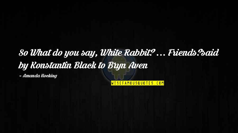Rabbit Quotes By Amanda Hocking: So What do you say, White Rabbit? ...