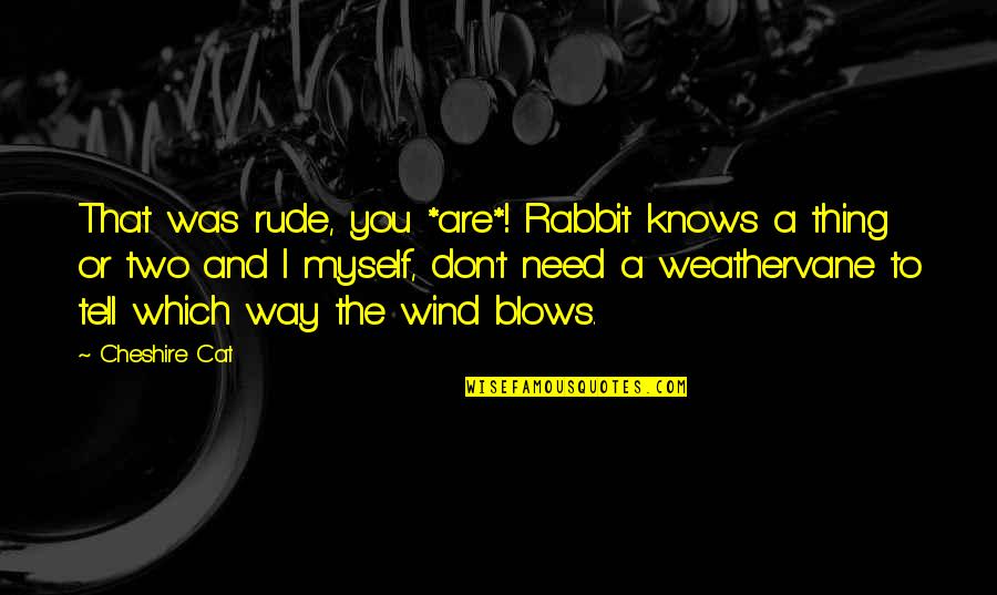 Rabbit Quotes By Cheshire Cat: That was rude, you *are*! Rabbit knows a