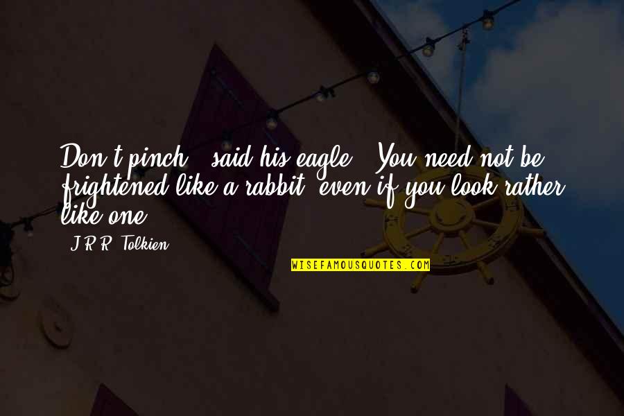 Rabbit Quotes By J.R.R. Tolkien: Don't pinch!" said his eagle. "You need not