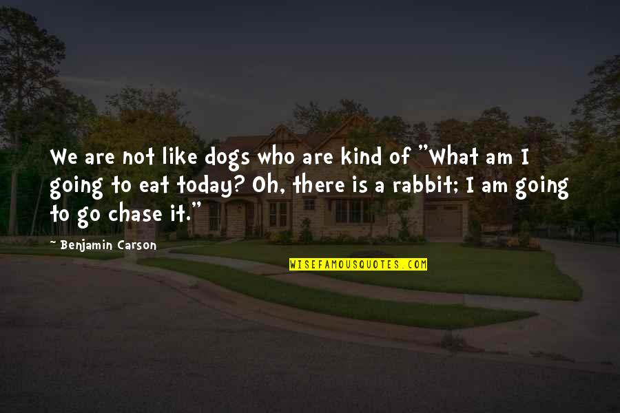 Rabbits Quotes By Benjamin Carson: We are not like dogs who are kind Rabbits Quotes By Benjamin Carson: We are not like dogs who are kind