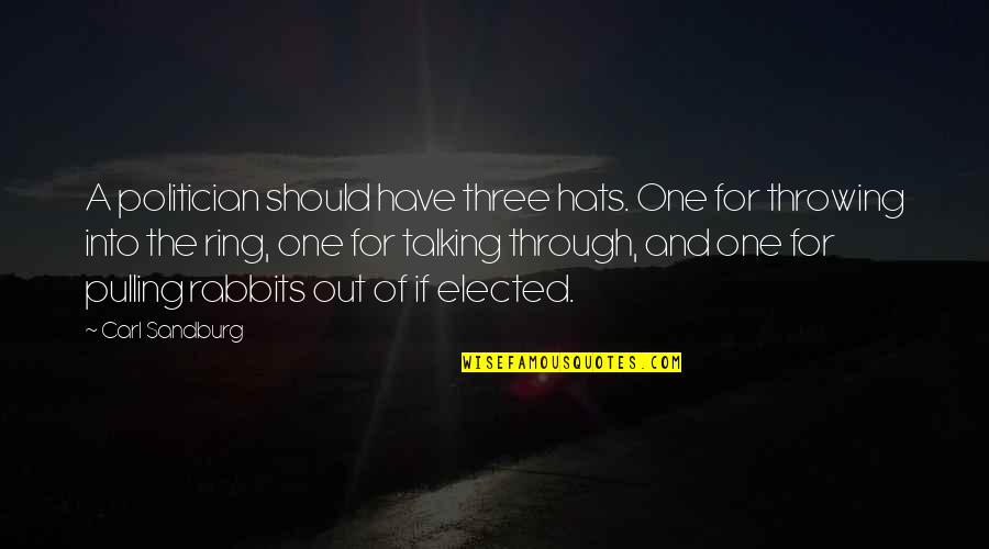 Rabbits Quotes By Carl Sandburg: A politician should have three hats. One for Rabbits Quotes By Carl Sandburg: A politician should have three hats. One for