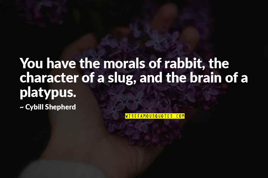Rabbits Quotes By Cybill Shepherd: You have the morals of rabbit, the character Rabbits Quotes By Cybill Shepherd: You have the morals of rabbit, the character