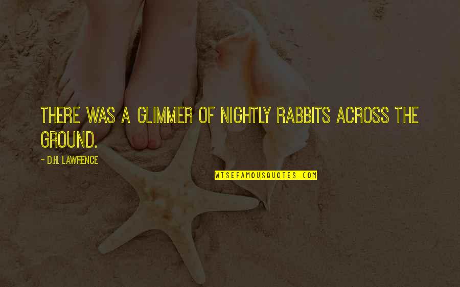 Rabbits Quotes By D.H. Lawrence: There was a glimmer of nightly rabbits across Rabbits Quotes By D.H. Lawrence: There was a glimmer of nightly rabbits across