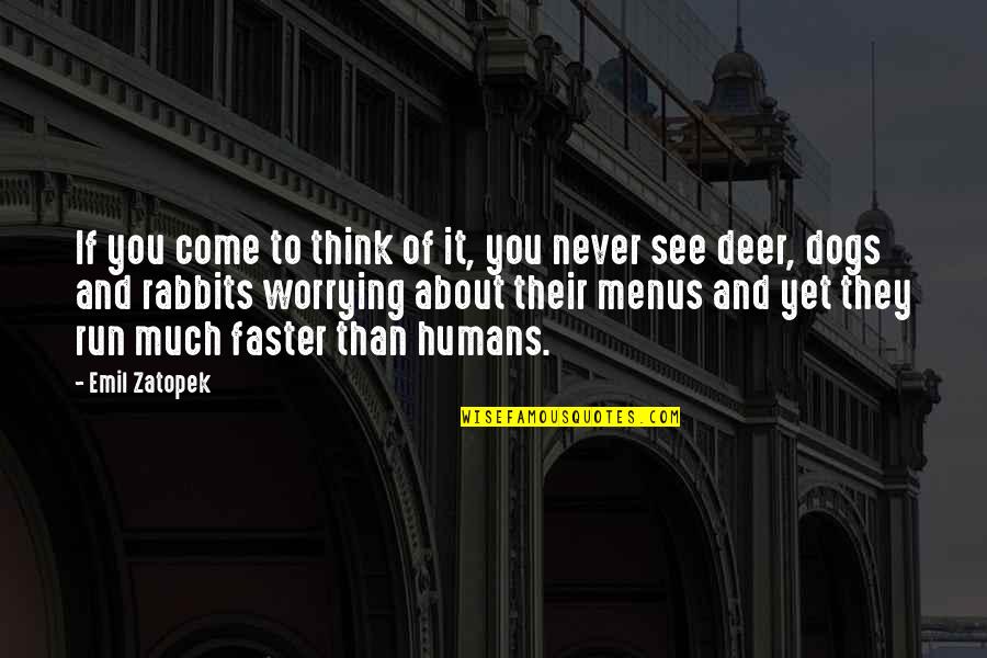Rabbits Quotes By Emil Zatopek: If you come to think of it, you Rabbits Quotes By Emil Zatopek: If you come to think of it, you