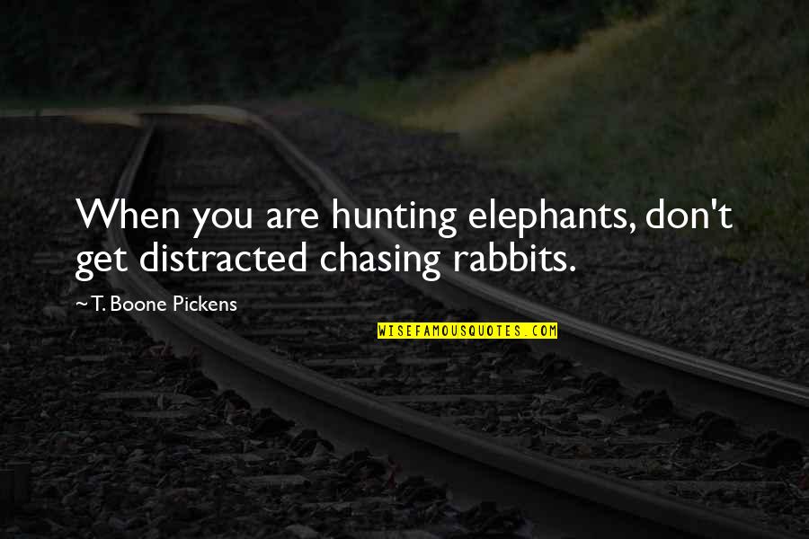 Rabbits Quotes By T. Boone Pickens: When you are hunting elephants, don't get distracted Rabbits Quotes By T. Boone Pickens: When you are hunting elephants, don't get distracted