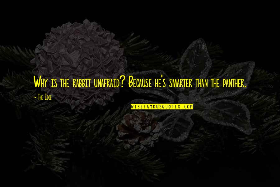 Rabbits Quotes By The Edge: Why is the rabbit unafraid? Because he's smarter