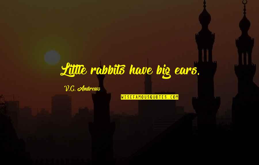 Rabbits Quotes By V.C. Andrews: Little rabbits have big ears. Rabbits Quotes By V.C. Andrews: Little rabbits have big ears.