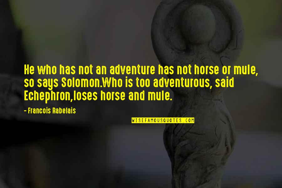 Rabelais Quotes By Francois Rabelais: He who has not an adventure has not