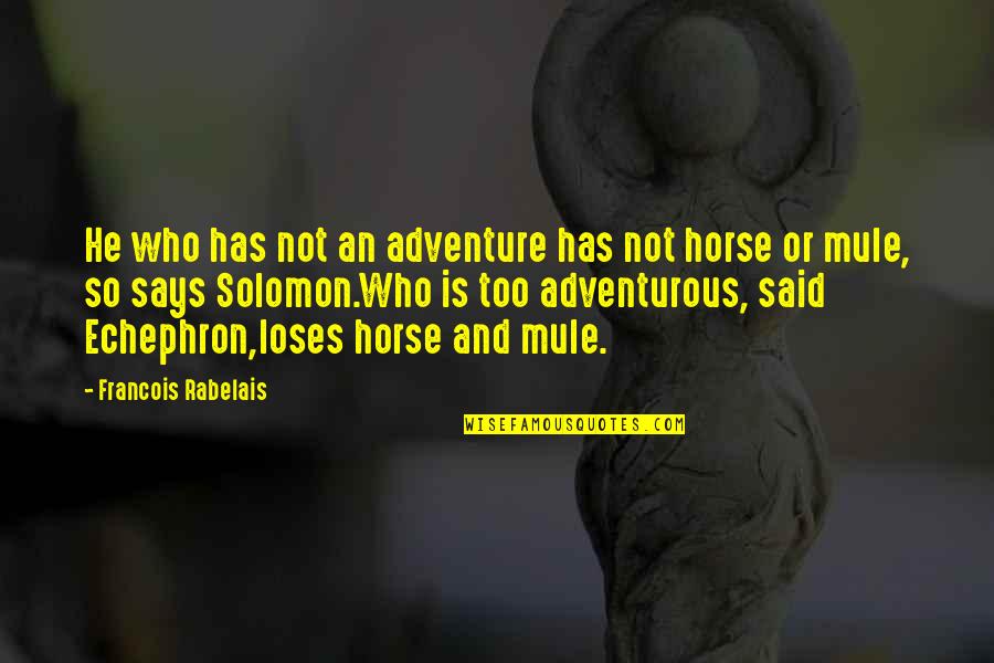 Rabelais Quotes By Francois Rabelais: He who has not an adventure has not Rabelais Quotes By Francois Rabelais: He who has not an adventure has not