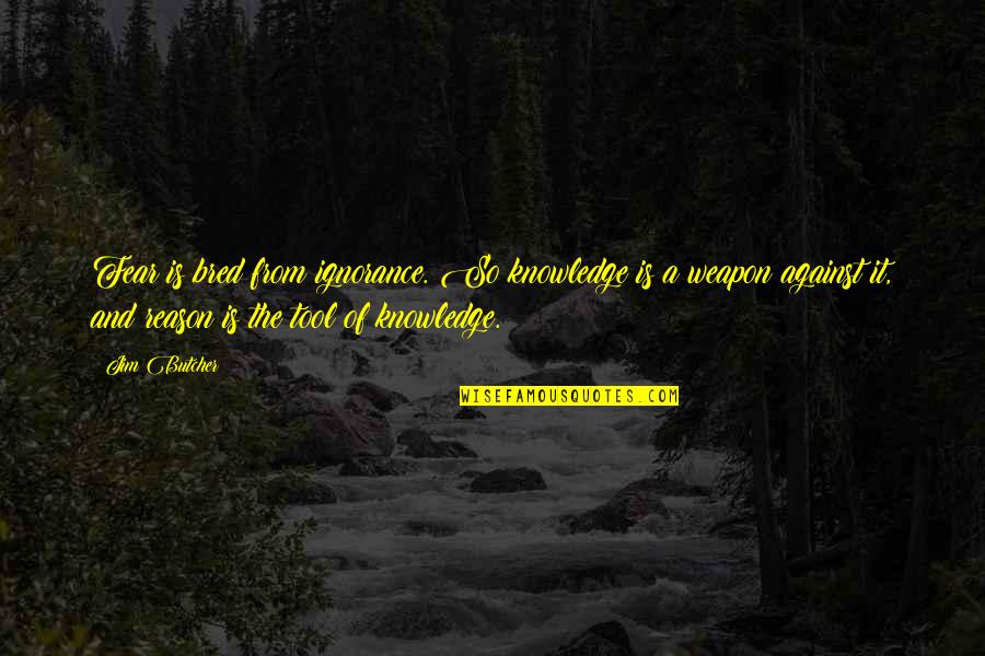 Rabi Ul Awal 2020 Mubarak Quotes By Jim Butcher: Fear is bred from ignorance. So knowledge is