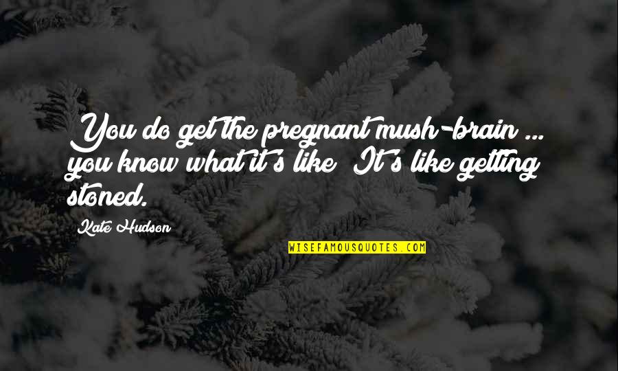 Rabiah Adawiyah Quotes By Kate Hudson: You do get the pregnant mush-brain ... you Rabiah Adawiyah Quotes By Kate Hudson: You do get the pregnant mush-brain ... you
