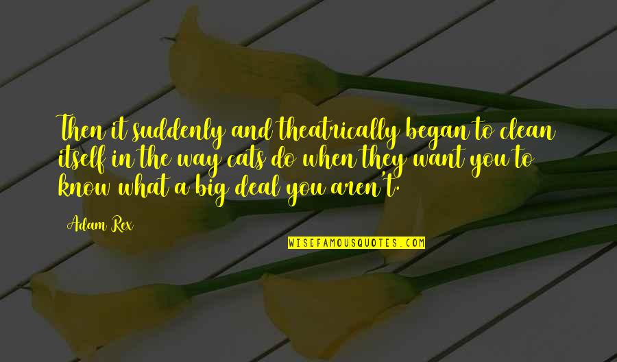 Raccontami Una Quotes By Adam Rex: Then it suddenly and theatrically began to clean