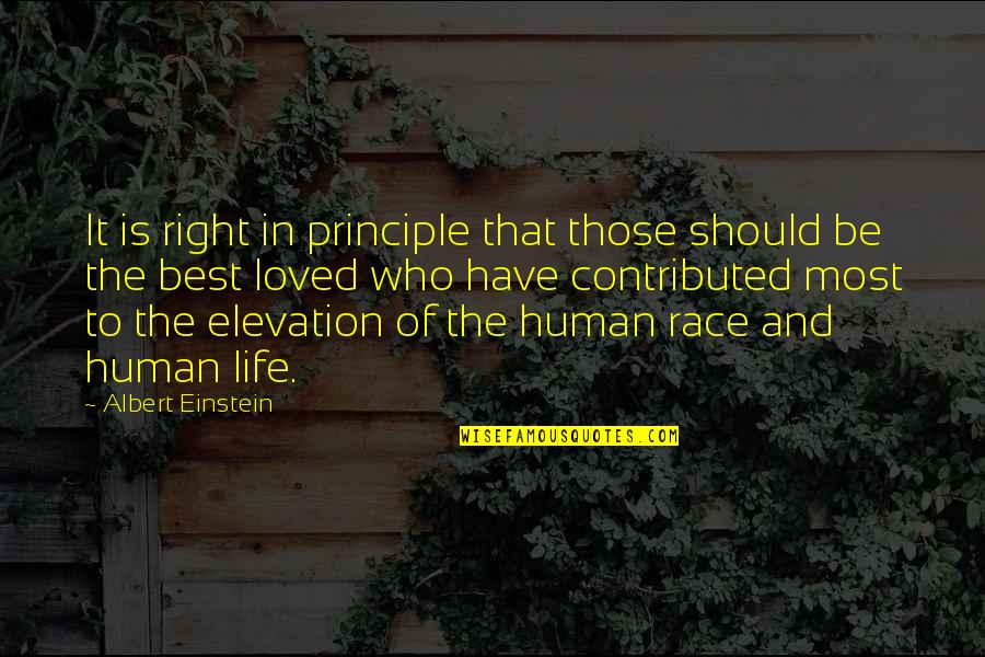 Race And Life Quotes By Albert Einstein: It is right in principle that those should