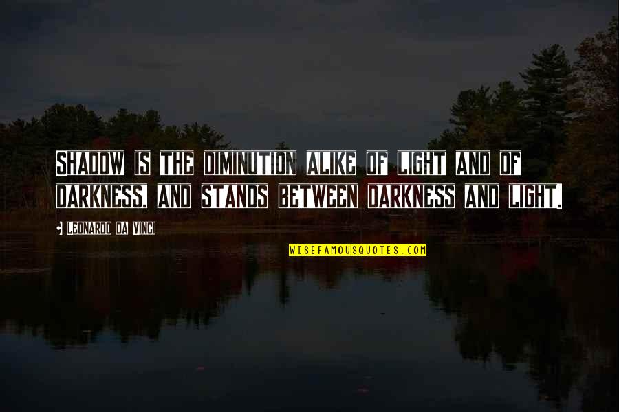 Race Day Inspirational Quotes By Leonardo Da Vinci: Shadow is the diminution alike of light and