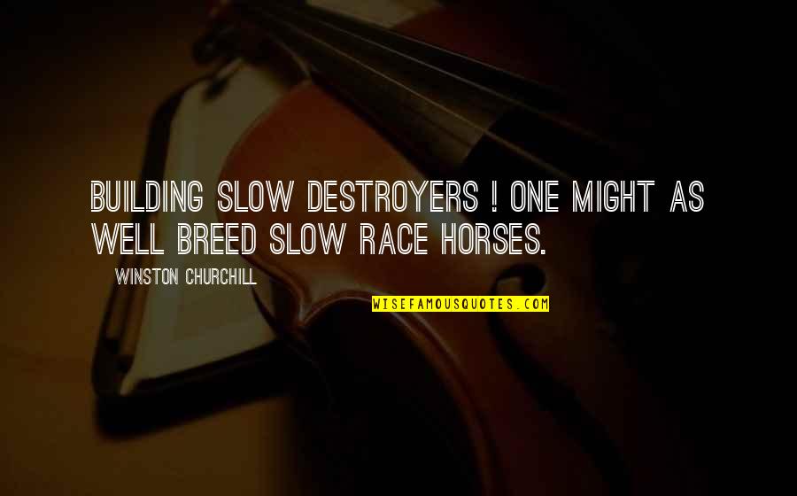 Race Horses Quotes By Winston Churchill: Building slow destroyers ! One might as well