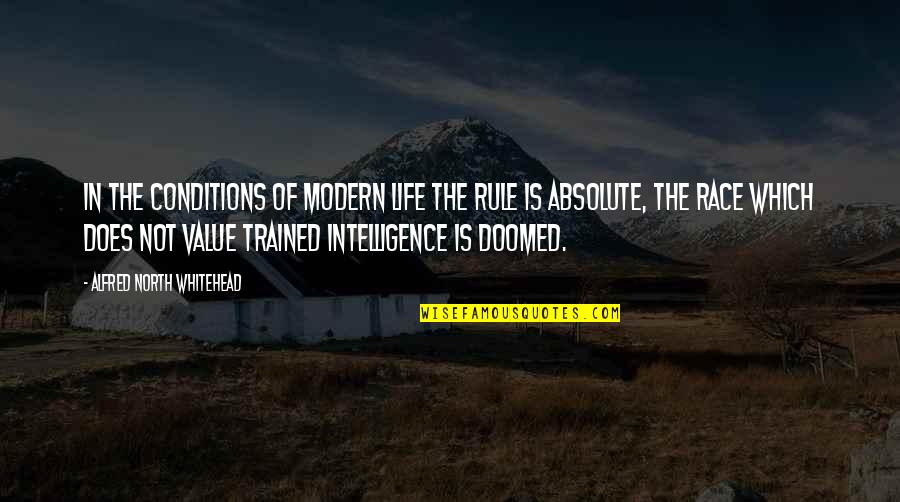 Race In Life Quotes By Alfred North Whitehead: In the conditions of modern life the rule