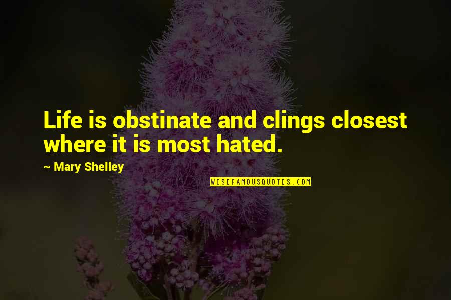 Race In Wide Sargasso Sea Quotes By Mary Shelley: Life is obstinate and clings closest where it Race In Wide Sargasso Sea Quotes By Mary Shelley: Life is obstinate and clings closest where it