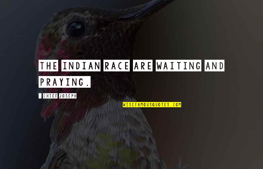 Race Quotes By Chief Joseph: The Indian race are waiting and praying.