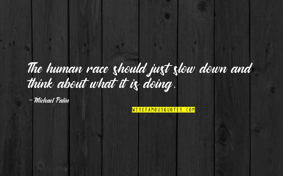 Race The Quotes By Michael Palin: The human race should just slow down and