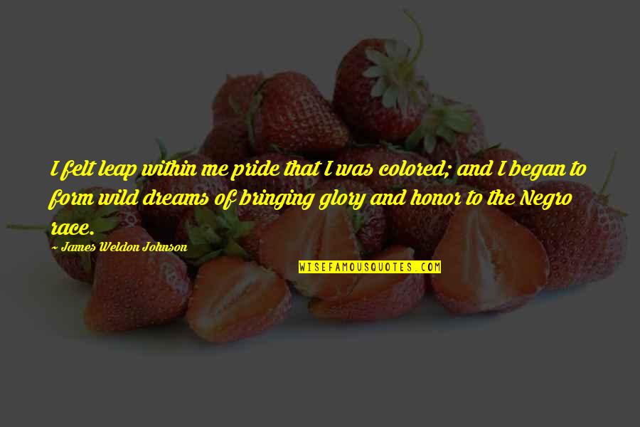 Race The Wild Quotes By James Weldon Johnson: I felt leap within me pride that I
