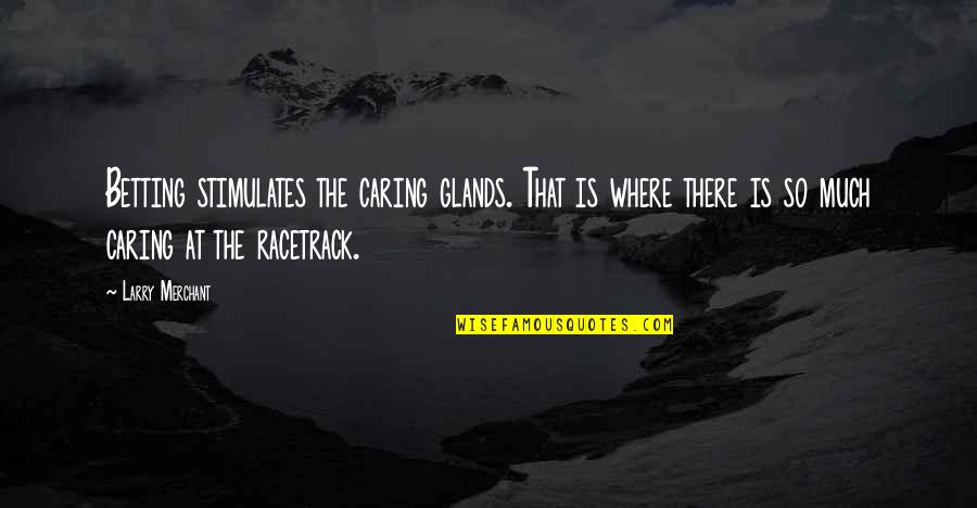Racetrack Quotes By Larry Merchant: Betting stimulates the caring glands. That is where Racetrack Quotes By Larry Merchant: Betting stimulates the caring glands. That is where