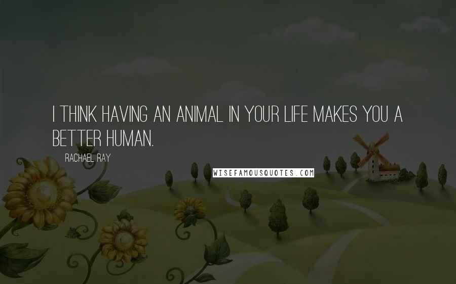 Rachael Ray quotes: I think having an animal in your life makes you a better human.